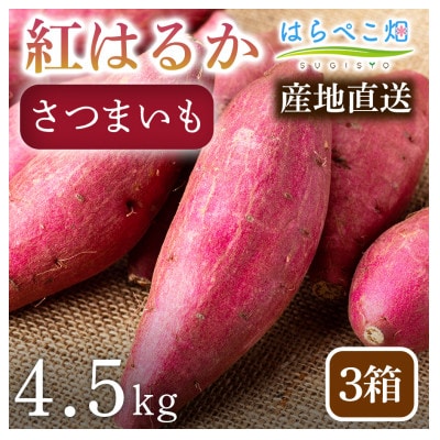 【ねっとり甘い蜜芋】さつまいも 紅はるか(4.5kg) 3箱 ・H104