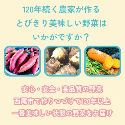 【ねっとり甘い蜜芋】さつまいも 紅はるか(4.5kg) 3箱 ・H104