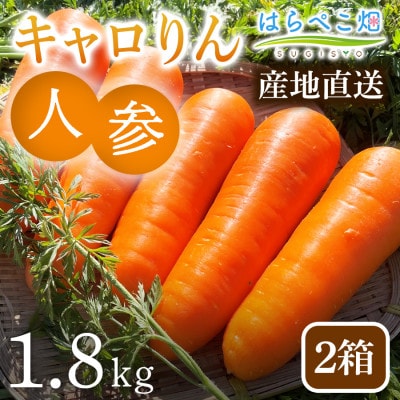 人参『キャロりん』(1.8kg) 2箱・H106