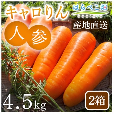 人参『キャロりん』(4.5kg) 2箱・H109