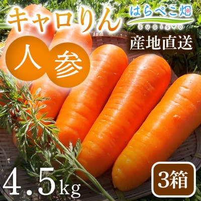 人参『キャロりん』(4.5kg) 3箱・H110