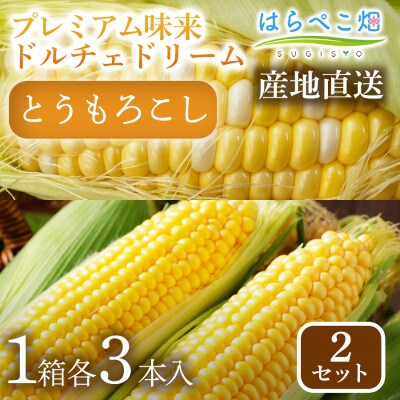 【人気の2品種を食べ比べ】とうもろこし2種各3本×2セット・H111