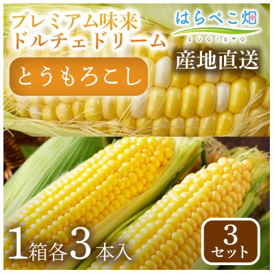 【人気の2品種を食べ比べ】とうもろこし2種各3本×3セット・H112