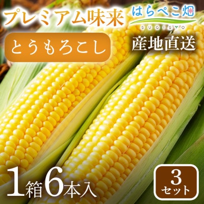 【感動の甘さ】とうもろこしプレミアム味来  6本入り/3箱・H114
