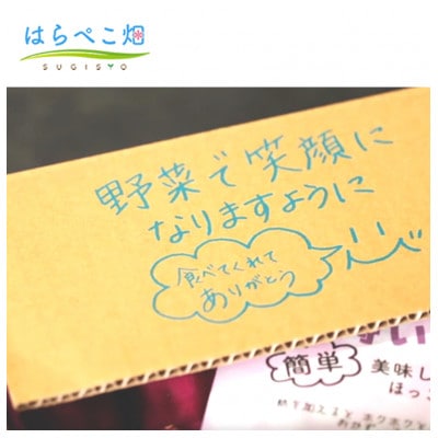 【ホックホク食感の優しい甘み】さつまいも金時 1.8kg2箱・H115