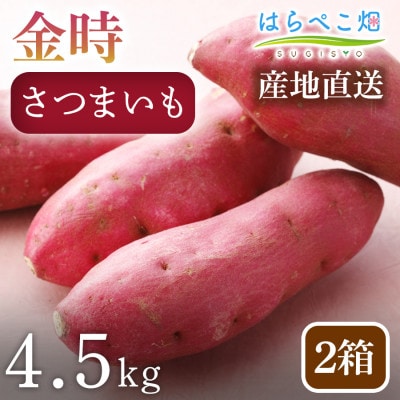 【ホックホク食感の優しい甘み】さつまいも金時 4.5kg2箱・H117