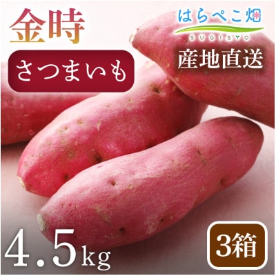 【ホックホク食感の優しい甘み】さつまいも金時 4.5kg3箱・H118