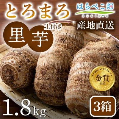【粘りと甘みが段違い】里芋『とろまろ』土付き・1.8kg3箱・H120