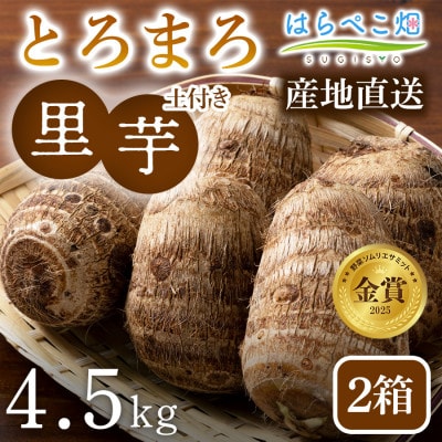 【粘りと甘みが段違い】里芋『とろまろ』土付き・4.5kg2箱・H121