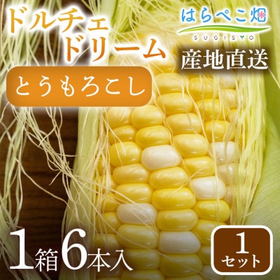 とうもろこし『ドルチェドリーム』(6本入/1箱)1セット・H123