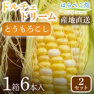 とうもろこし『ドルチェドリーム』(6本入/1箱)2セット・H124