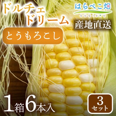 とうもろこし『ドルチェドリーム』(6本入/1箱)3セット・H125