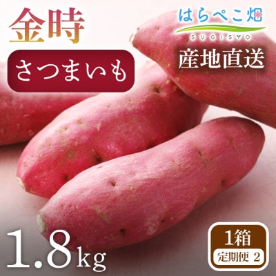 【定期便2ヶ月】さつまいも 金時 1.8kg 1箱・H126