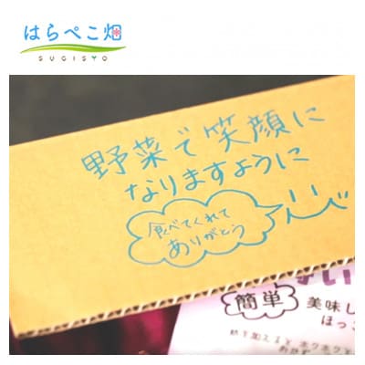 【定期便3ヶ月】さつまいも 金時 1.8kg 1箱・H127