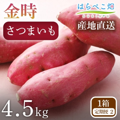 【定期便2ヶ月】さつまいも 金時 4.5kg 1箱・H130