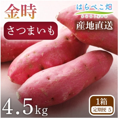 【定期便5ヶ月】さつまいも 金時 4.5kg 1箱・H133