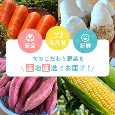 【定期便5ヶ月】里芋『とろまろ』土付き・1.8kg1箱・H137