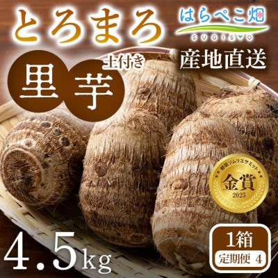 【定期便4ヶ月】里芋『とろまろ』土付き・4.5kg1箱・H140