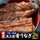 【厳選】三河一色産炭火焼青うなぎ　蒲焼2尾320g以上・U045