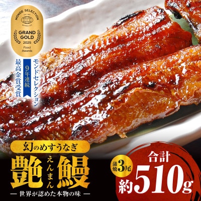 三河一色産　幻のめすうなぎ艶鰻　蒲焼3尾・T117