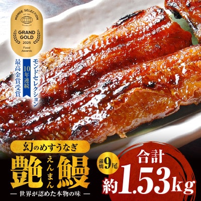 三河一色産　幻のめすうなぎ艶鰻　蒲焼9尾・T119