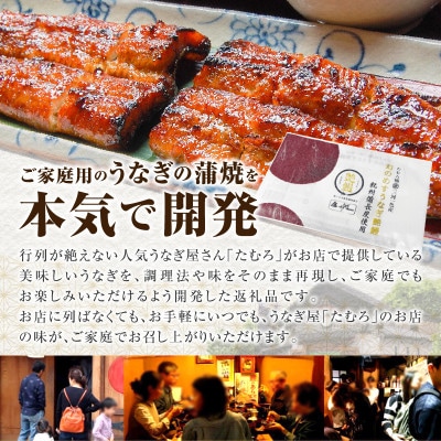 三河一色産　幻のめすうなぎ艶鰻　蒲焼9尾・T119