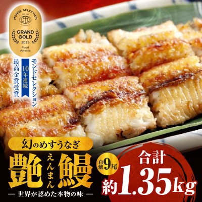 三河一色産　幻のめすうなぎ艶鰻　白焼9尾・T123