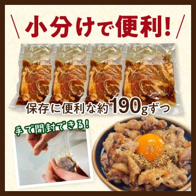 黒い豚丼の具・S081