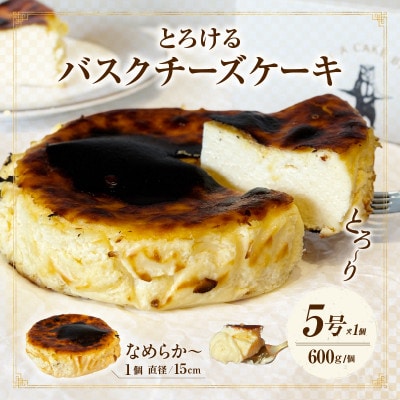 究極のプレーンバスクチーズケーキ/濃厚西尾抹茶ガトーショコラペアセット・T160