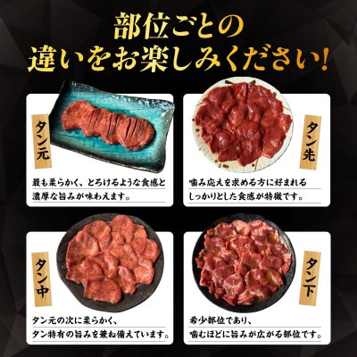 牛タン丸ごと1本チャレンジ・G005