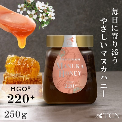 【定期便全6回】マヌカハニー MGO220+ 250g インカナムマヌカハニー・T141