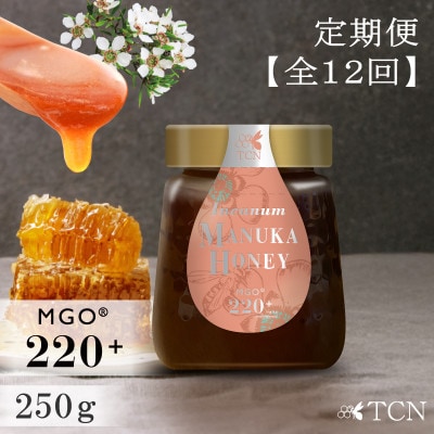 【定期便全12回】マヌカハニー MGO220+ 250g インカナムマヌカハニー・T142