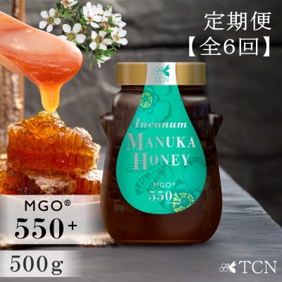 【定期便全6回】マヌカハニー MGO550+ 500g インカナムマヌカハニー・T143