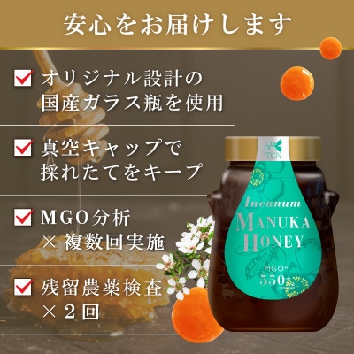【定期便全6回】マヌカハニー MGO550+ 500g インカナムマヌカハニー・T143