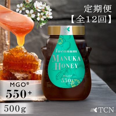 【定期便全12回】マヌカハニー MGO550+ 500g インカナムマヌカハニー・T144