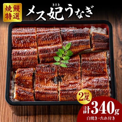 焼鰻特選メス妃うなぎ2尾　計340g　(白焼き・たれ付き)・Y098