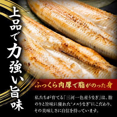 焼鰻特選メス妃うなぎ2尾　計340g　(白焼き・たれ付き)・Y098