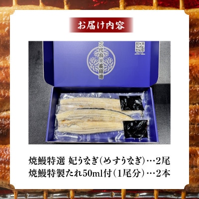 焼鰻特選メス妃うなぎ2尾　計340g　(白焼き・たれ付き)・Y098