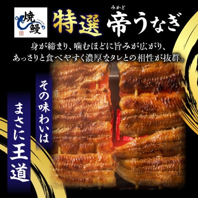 焼鰻特選オス帝うなぎ大2尾　計280g　(白焼き・たれ付き)・Y099