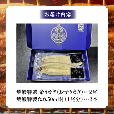 焼鰻特選オス帝うなぎ大2尾　計280g　(白焼き・たれ付き)・Y099