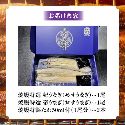 焼鰻めおと鰻セット:焼鰻特選メス妃うなぎ1尾と焼鰻特選オス帝うなぎ1尾　計310g・Y100