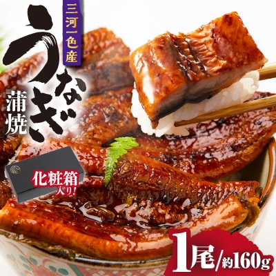 三河一色産うなぎ蒲焼 1尾(約160g)化粧箱入・O060