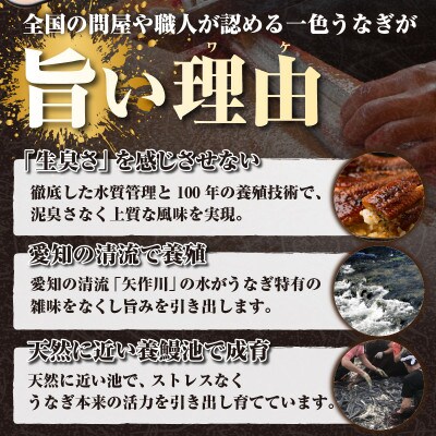 三河一色産うなぎ蒲焼 1尾(約160g)化粧箱入・O060
