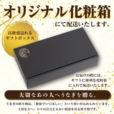 三河一色産うなぎ蒲焼 1尾(約160g)化粧箱入・O060