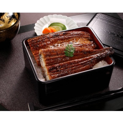 三河一色産うなぎ蒲焼 3尾(約480g)化粧箱入・O062