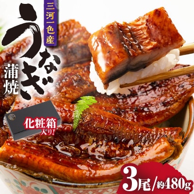 三河一色産うなぎ蒲焼 3尾(約480g)化粧箱入・O062