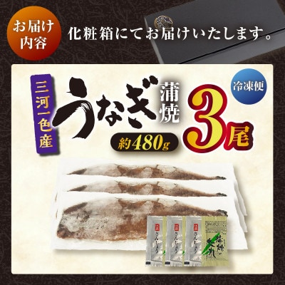 三河一色産うなぎ蒲焼 3尾(約480g)化粧箱入・O062