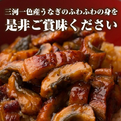 三河一色産　うなぎ蒲焼まぶしセット4人前・O064