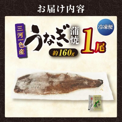 三河一色産うなぎ蒲焼 1尾(約160g)　・O065