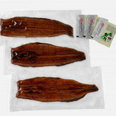 三河一色産うなぎ蒲焼 3尾(約480g)　・O067